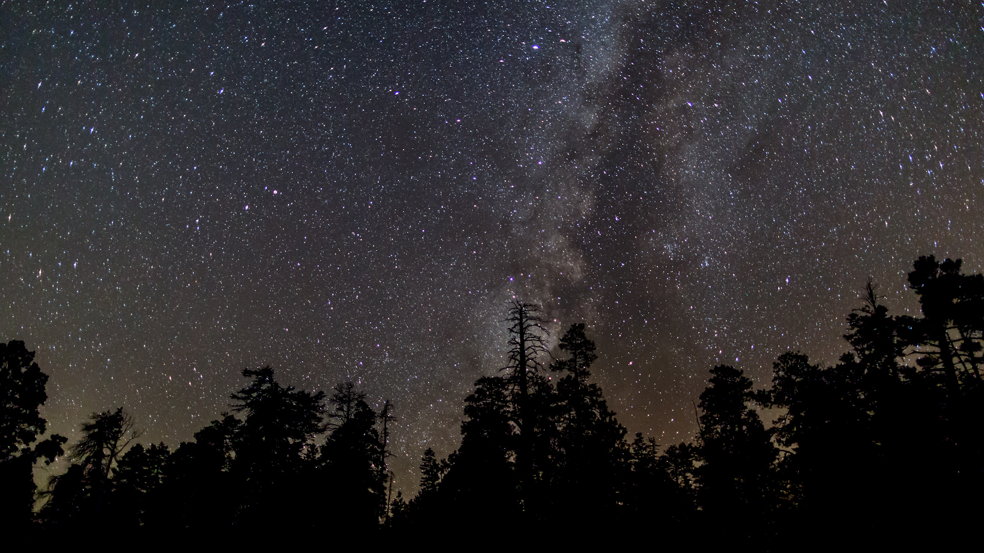 Grand Canyon National Park, Arizona (Image Credits: Wikimedia)