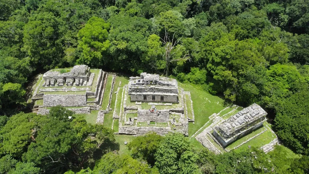 Maya Megalopolises and the Myth of Collapse (Image Credits: Unsplash)