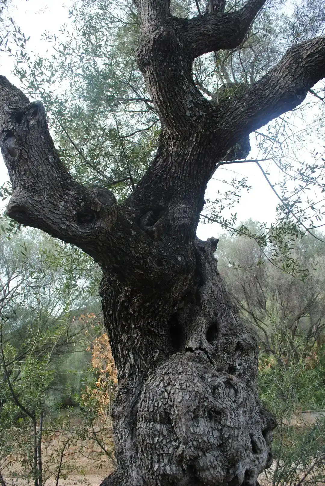 How You Can Engage: Small Actions for Ancient Lives (Image Credits: Unsplash)