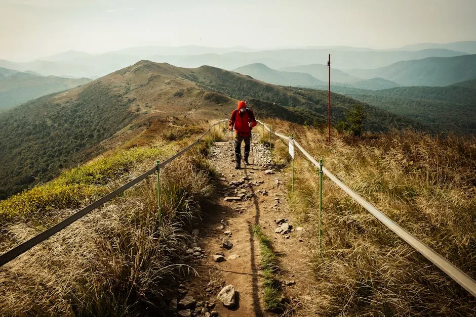 11. The Appalachian Trail Adjacent Drifter Who Stepped Out of the System (Image Credits: Pexels)