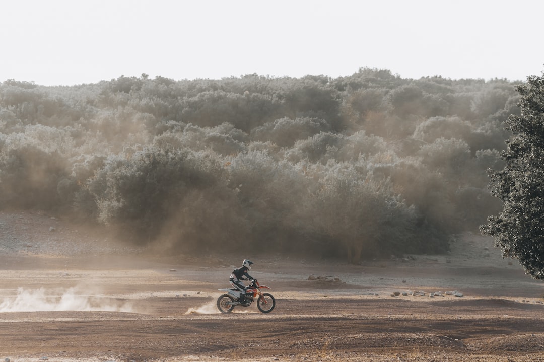 Taurus: The Dust Storm (Image Credits: Unsplash)