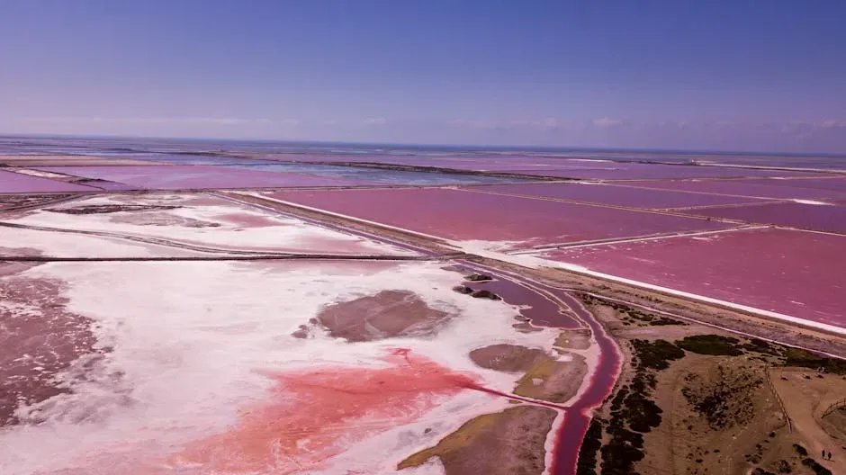 Deadly Brine Pools of the Red Sea - Liquid Death That Might Explain the Origins of Life (Image Credits: Pexels)