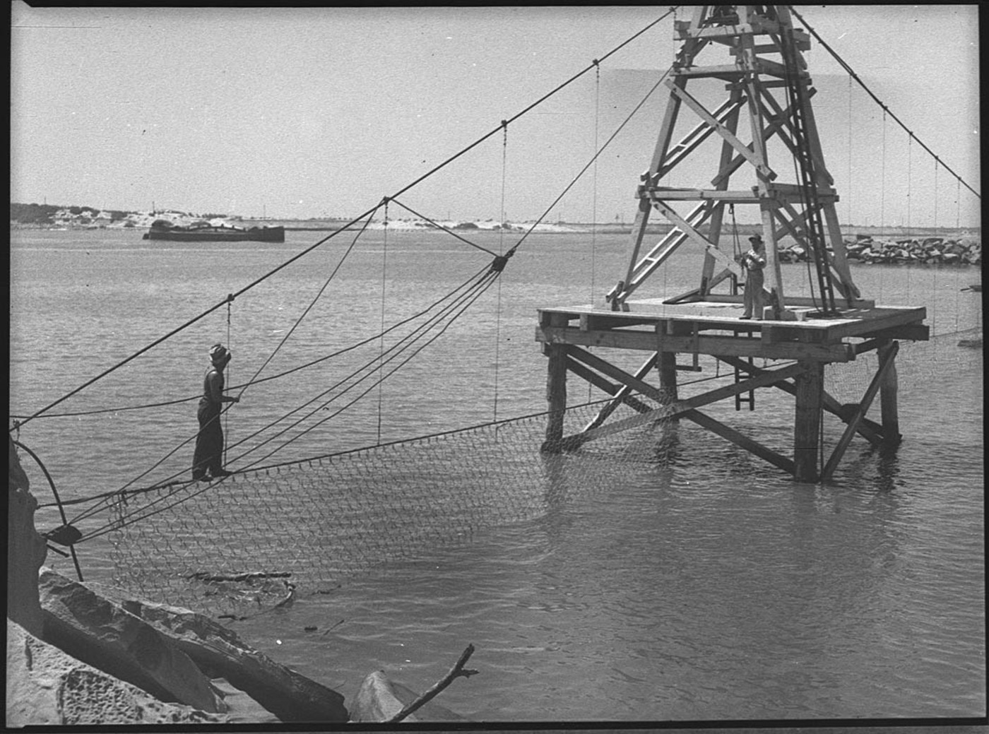 Myth 6: Shark nets or culls keep beaches safe (Image Credits: Wikimedia)