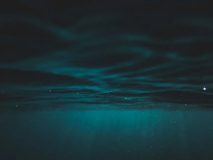 Life in the Dark: Microbial Worlds That Rewrite the Rules (Image Credits: Pexels)