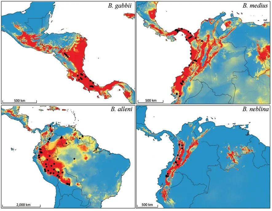 The Digital Crystal Ball: Species Distribution Models Get Smarter (Image Credits: Wikimedia)