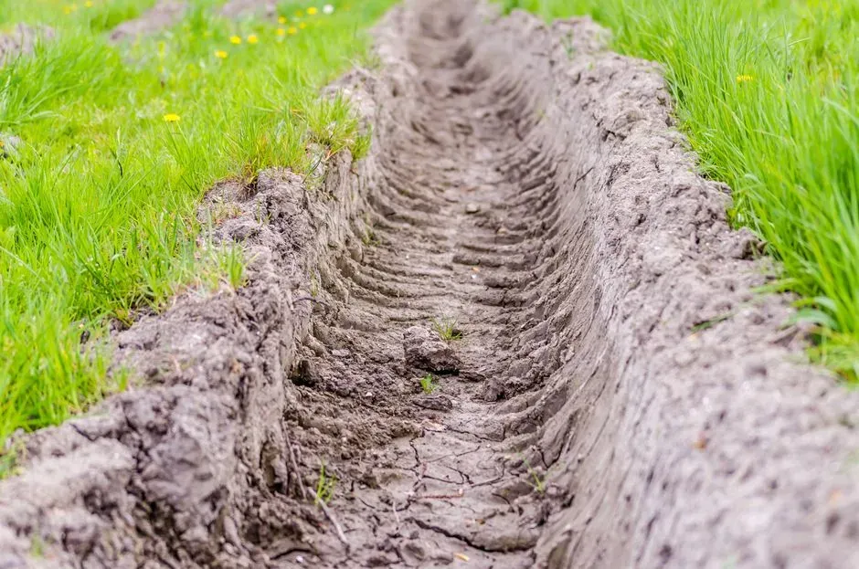 #10: Environmental Impacts Accumulate Quietly (Image Credits: Pexels)