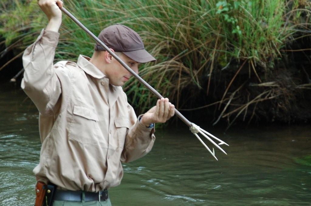 Global Perspectives (Image Credits: Wikimedia)