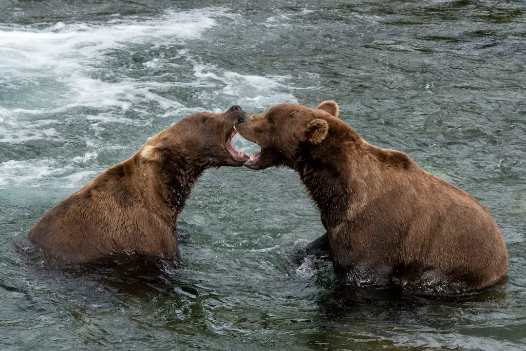 Why It Matters: More Than Spiritual Symbolism (Image Credits: Unsplash)