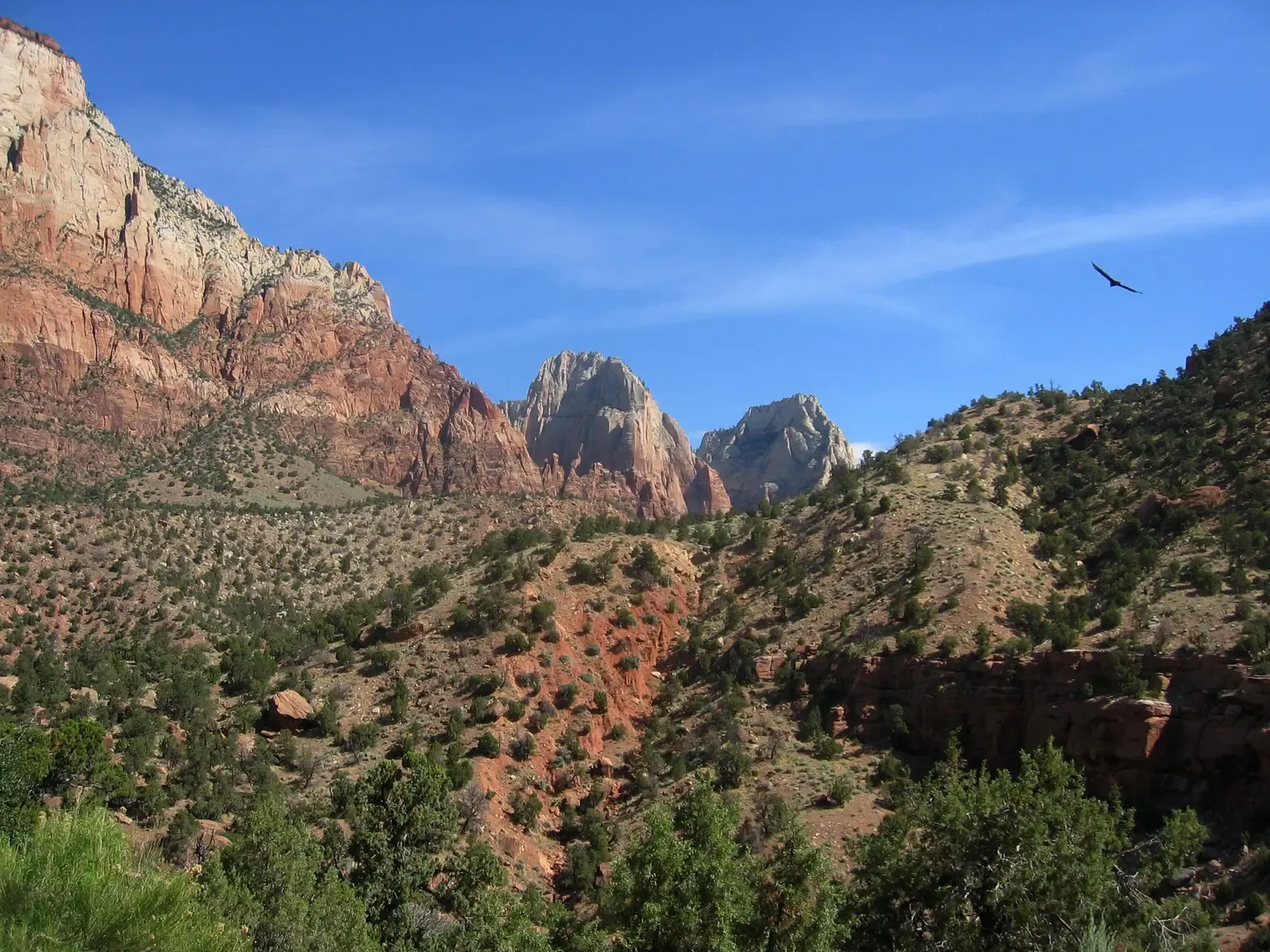 2. Zion National Park, Utah - The Secret Canyon Nobody Talks About (Image Credits: Wikimedia)