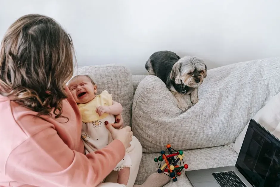 When Empathic Reactions Might Be Misread or Overstated (Image Credits: Pexels)