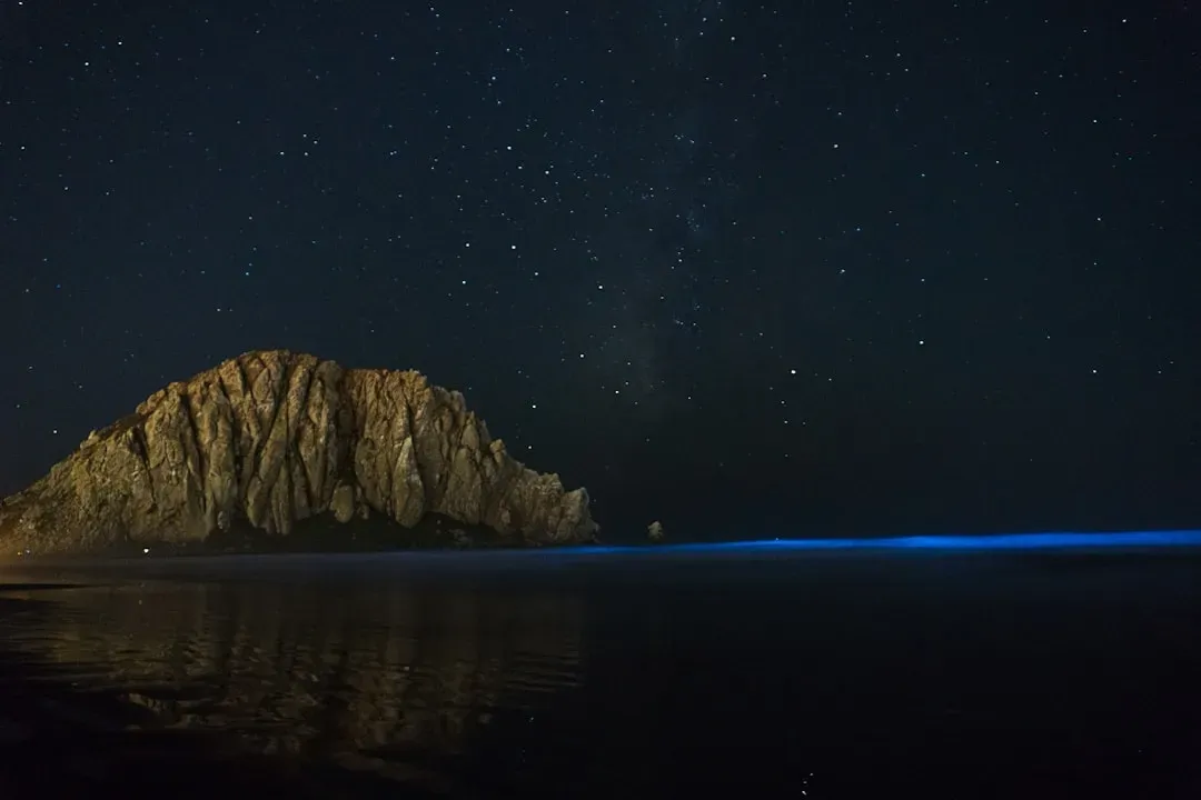 1. Bioluminescent Seas That Glow Like Liquid Stars (Image Credits: Unsplash)