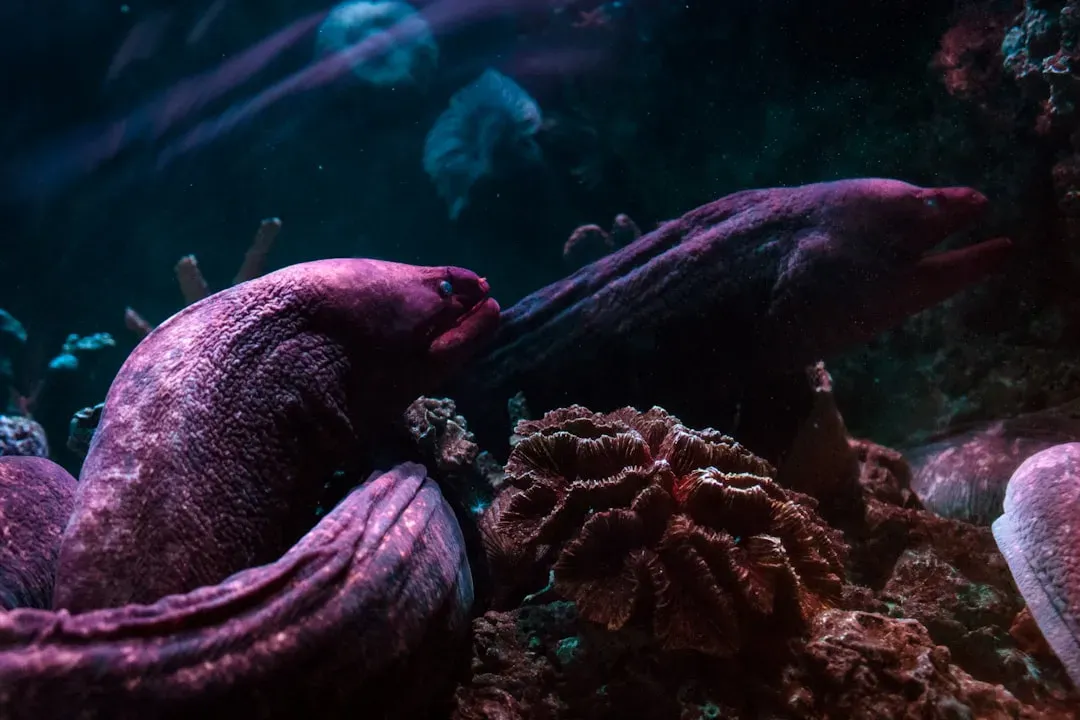 Ancient Lineages and Evolutionary Refuges (Image Credits: Unsplash)