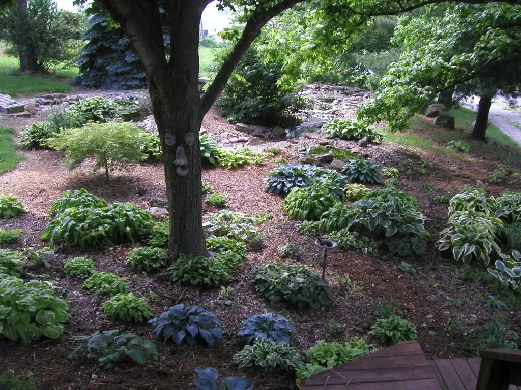 Memory Formation Is a Delicate Balancing Act (Image Credits: Flickr)