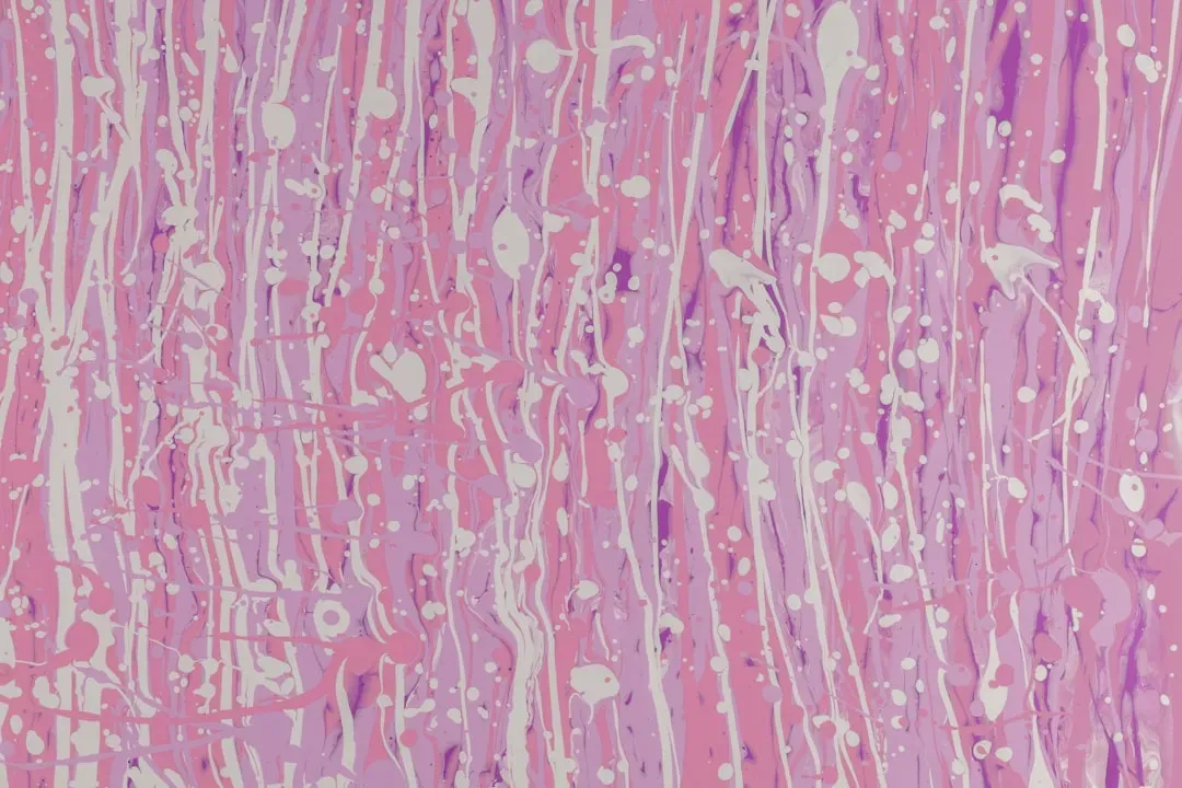 Your Cellular Clock Runs Out (Image Credits: Unsplash)