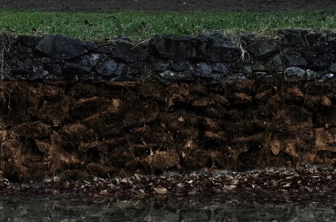 #9 - Wet Ground Preserves What Dry Ground Destroys (Image Credits: Unsplash)
