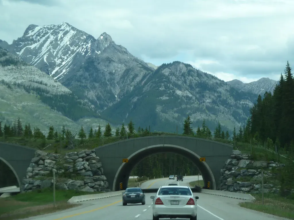 Conclusion: Corridors Are Not a Luxury, They Are the Bare Minimum (bsterling, Flickr, CC BY-SA 2.0)