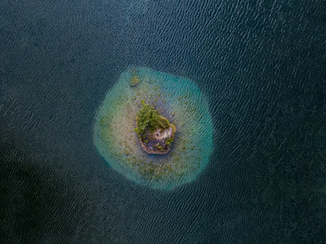 The Strange Geometry of Deep‑Sea “Crop Circles” (Image Credits: Unsplash)