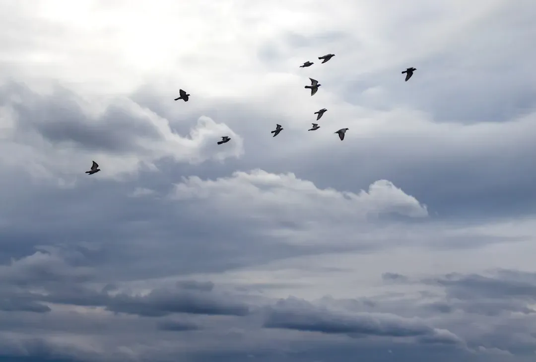 Behavior Cascades: When One Species’ Reaction Triggers Many Others (Image Credits: Unsplash)