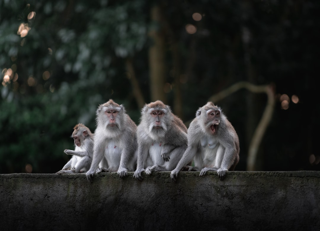 The Hidden Clues (Image Credits: Unsplash)