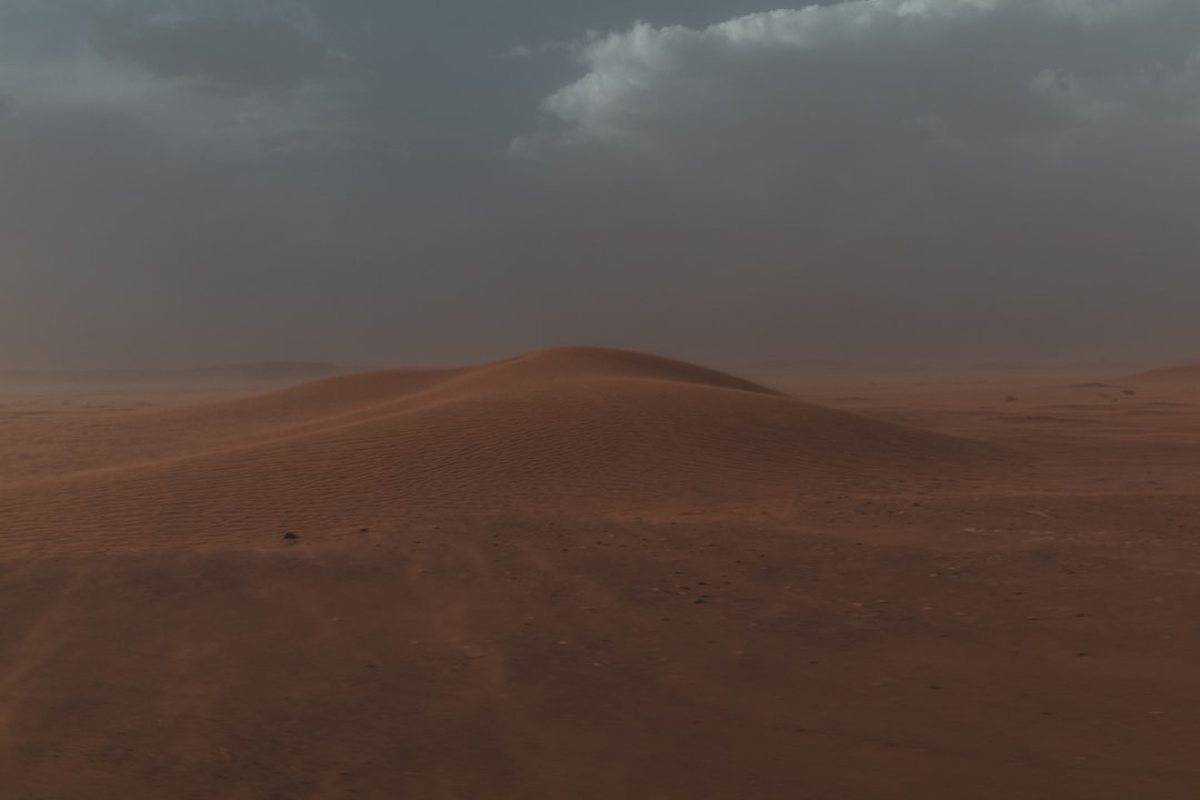 What You Can Do (Image Credits: Unsplash)