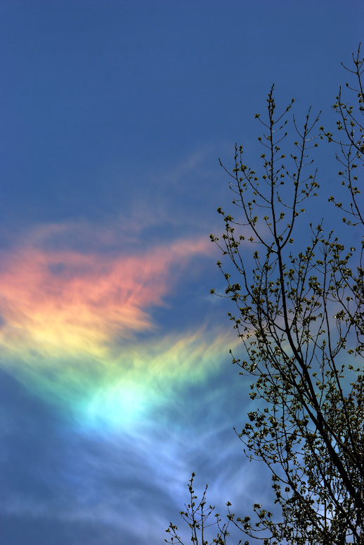 Fire Rainbows: Sunlight Painting in Ice (Image Credits: Wikimedia)