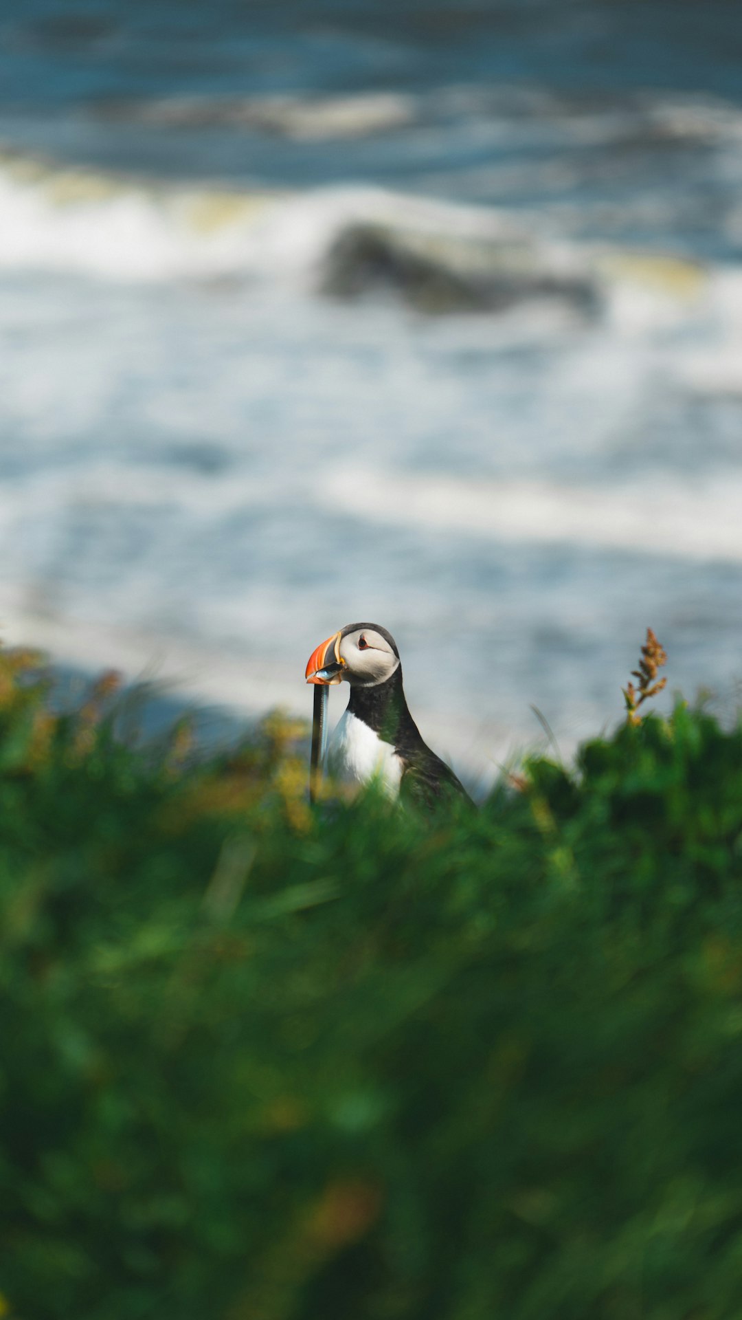 What the Science Shows (Image Credits: Unsplash)