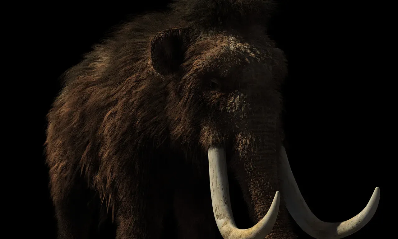 Resurrection Talk: Should We Bring Mammoths Back? (Image Credits: Pixabay)