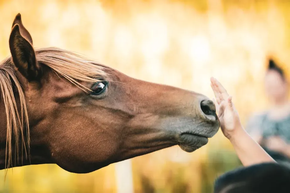 Beyond Words: Tone, Emotion, And Body Language (Image Credits: Pexels)
