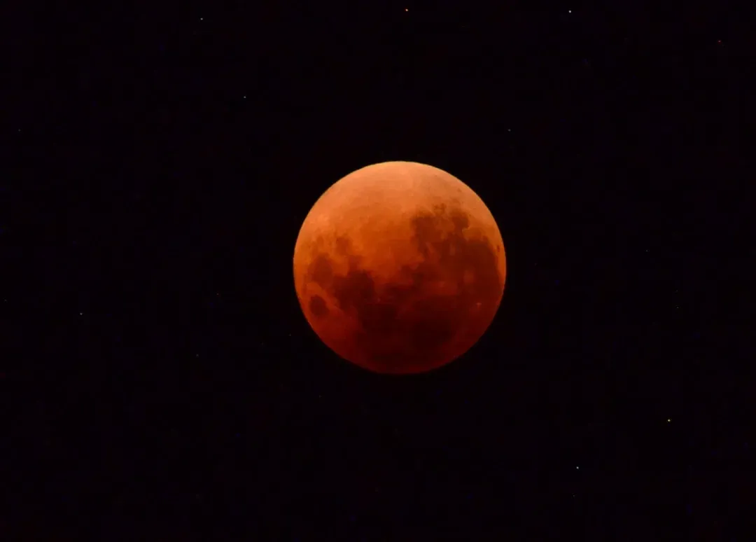 Total Lunar Eclipse: The Moon Turns Blood-Red (Image Credits: Unsplash)
