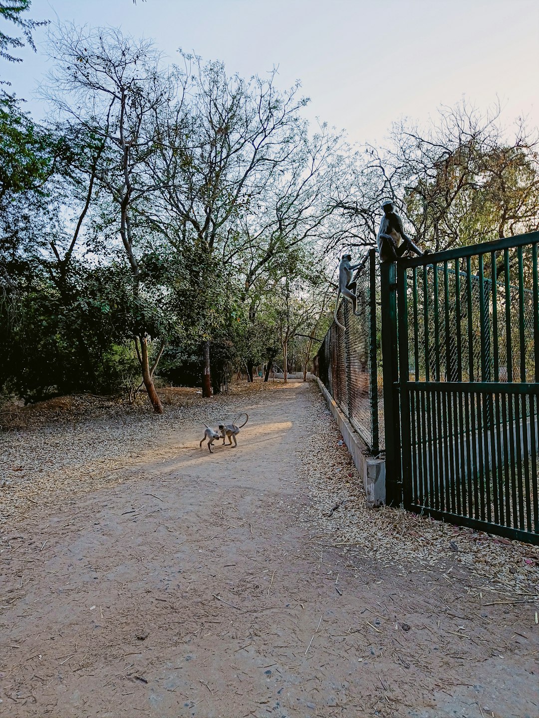 The Future Landscape (Image Credits: Unsplash)