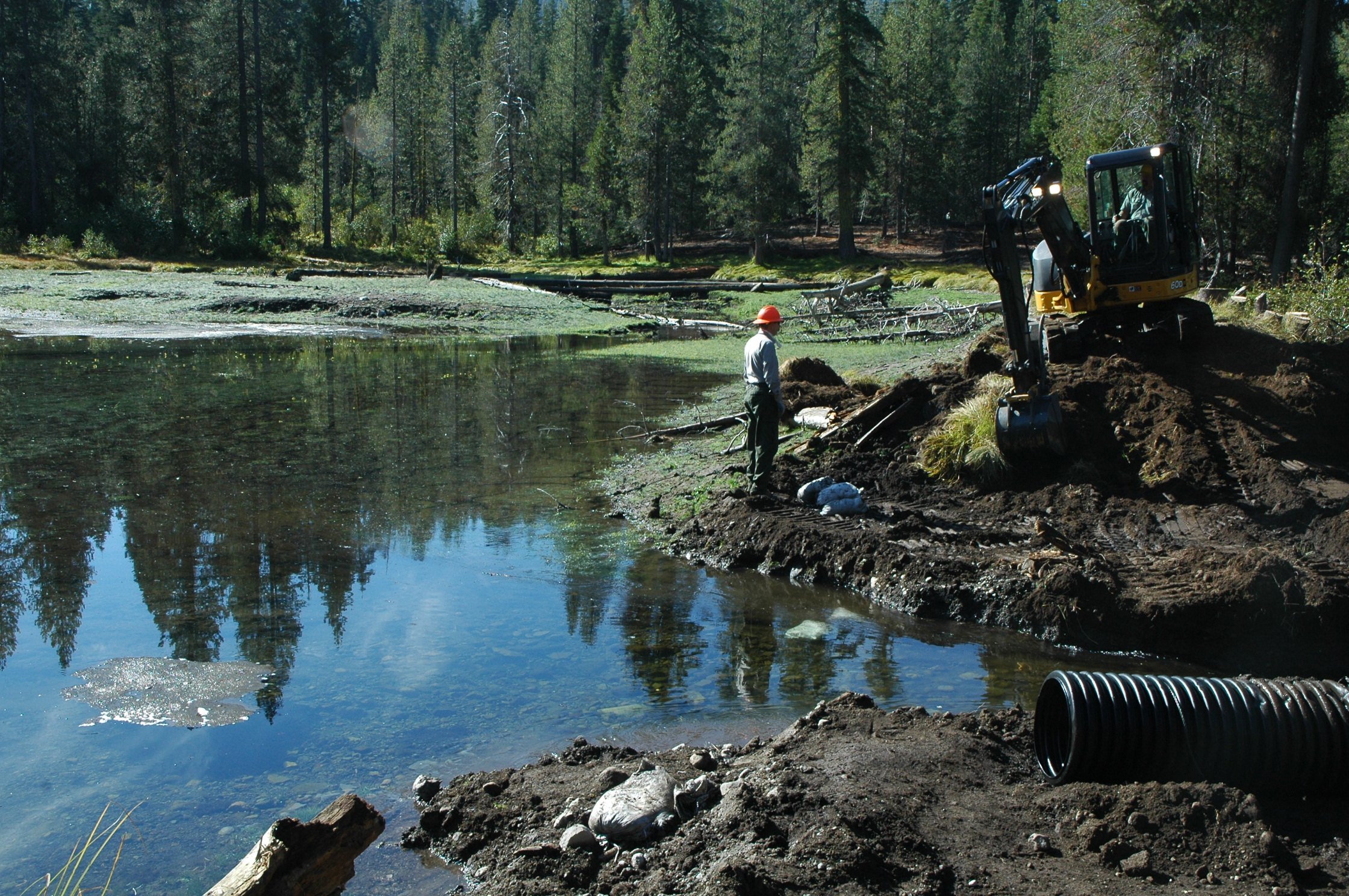 Global Perspectives (Image Credits: Wikimedia)