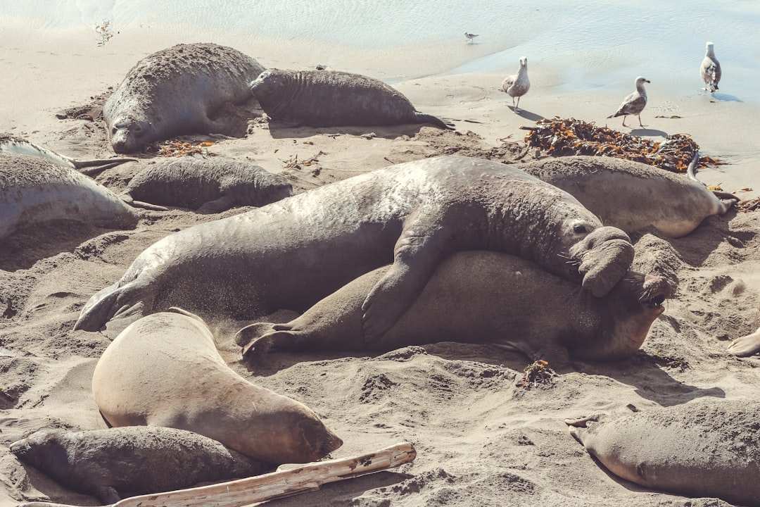 The Turning Point for Recovery (Image Credits: Unsplash)