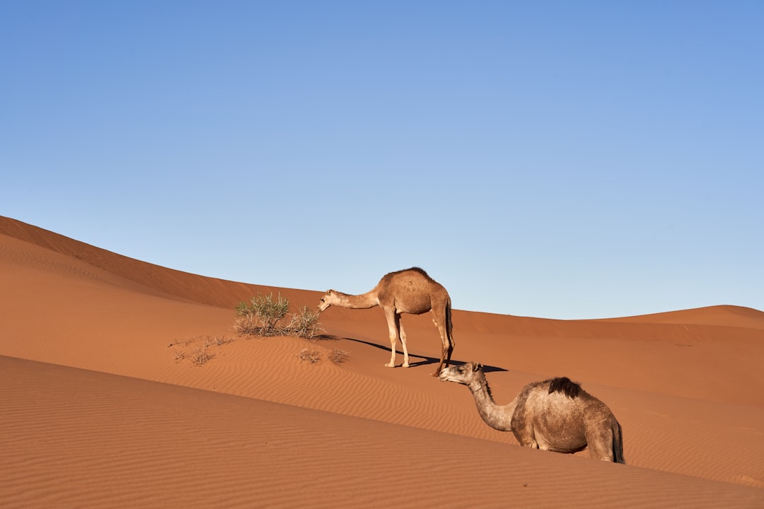 The Hidden Clues (Image Credits: Unsplash)