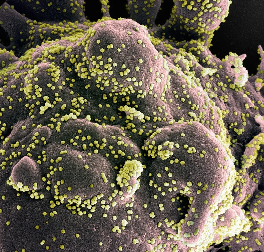 19. Marine Viruses Outnumbering Everything Else (Image Credits: Unsplash)