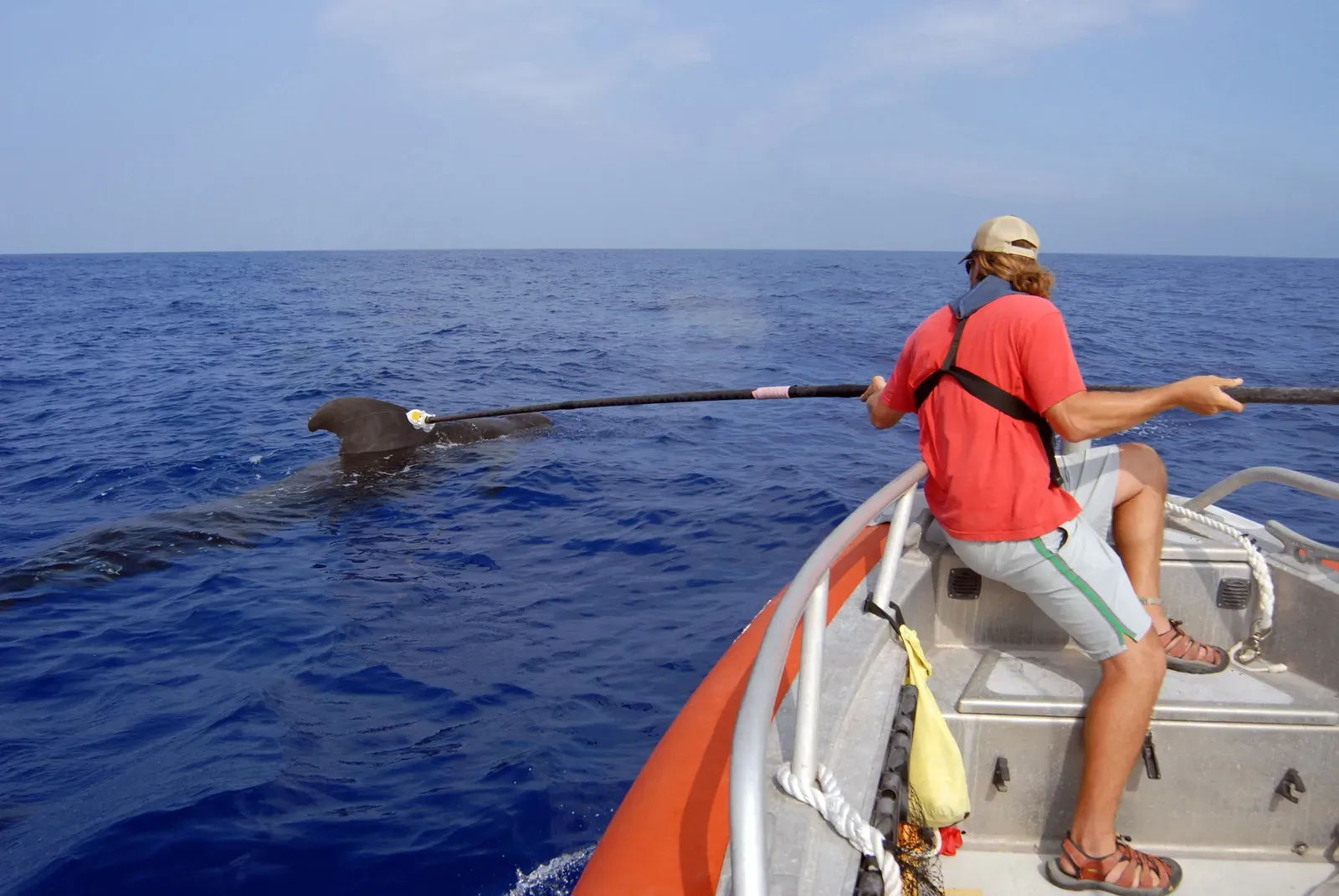 You Build Giant Datasets That Link Sound to Context (This image was released by the United States Navy with the ID 080720-N-9316F-002 (next).
This tag does not indicate the copyright status of the attached work. A normal copyright tag is still required. See Commons:Licensing.العربية ∙ বাংলা ∙
Bahaso Jambi ∙
Deutsch ∙ Deutsch (Sie-Form) ∙ English ∙ español ∙ euskara ∙ فارسی ∙ français ∙ italiano ∙ 日本語 ∙ 한국어 ∙ македонски ∙ മലയാളം ∙ Plattdüütsch ∙ Nederlands ∙ polski ∙ پښتو ∙ português ∙ русский ∙ slovenščina ∙ svenska ∙ Türkçe ∙ українська ∙ 简体中文 ∙ 繁體中文 ∙ +/−, Public domain)