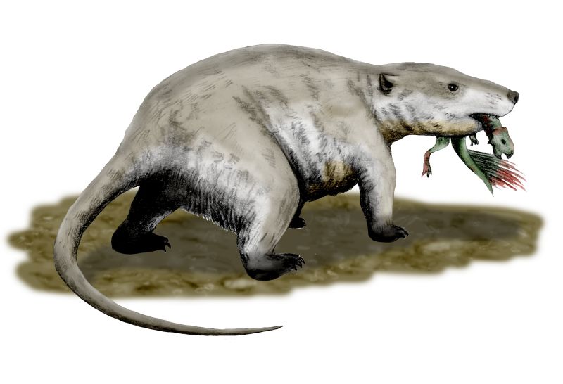 The Badger That Dared to Hunt Dragons (Image Credits: Wikimedia)