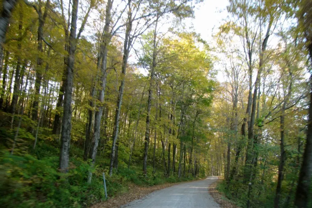 The Bennington Triangle, Vermont (Image Credits: Flickr)