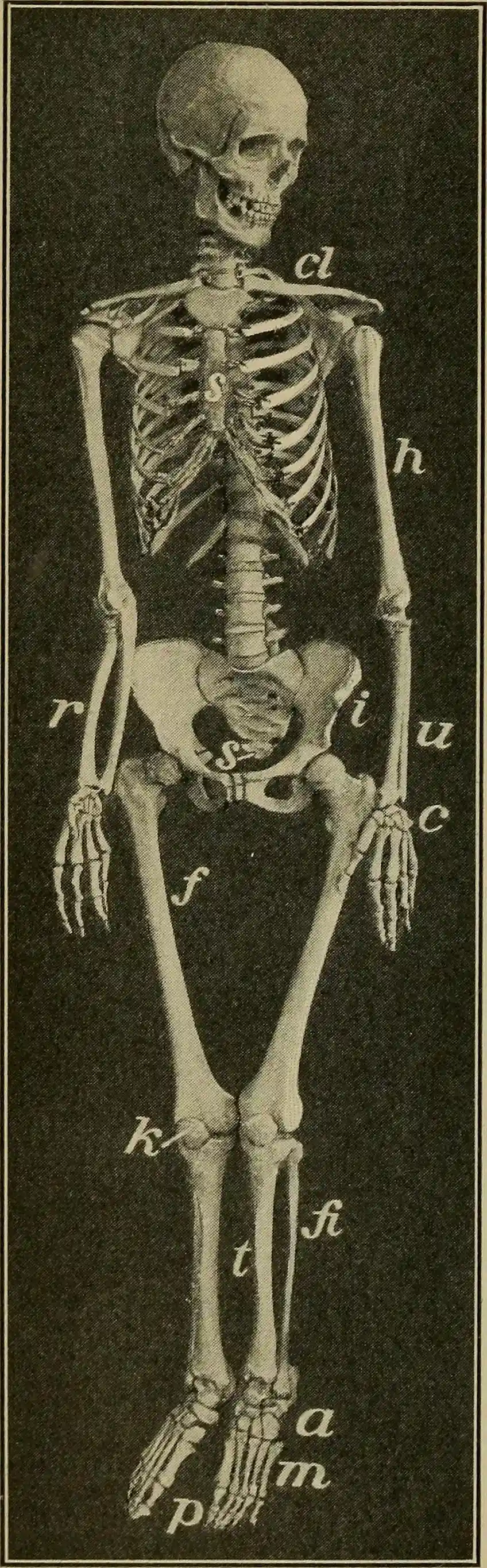 Why These Hidden Abilities Matter More Than You Think (Image Credits: Wikimedia)