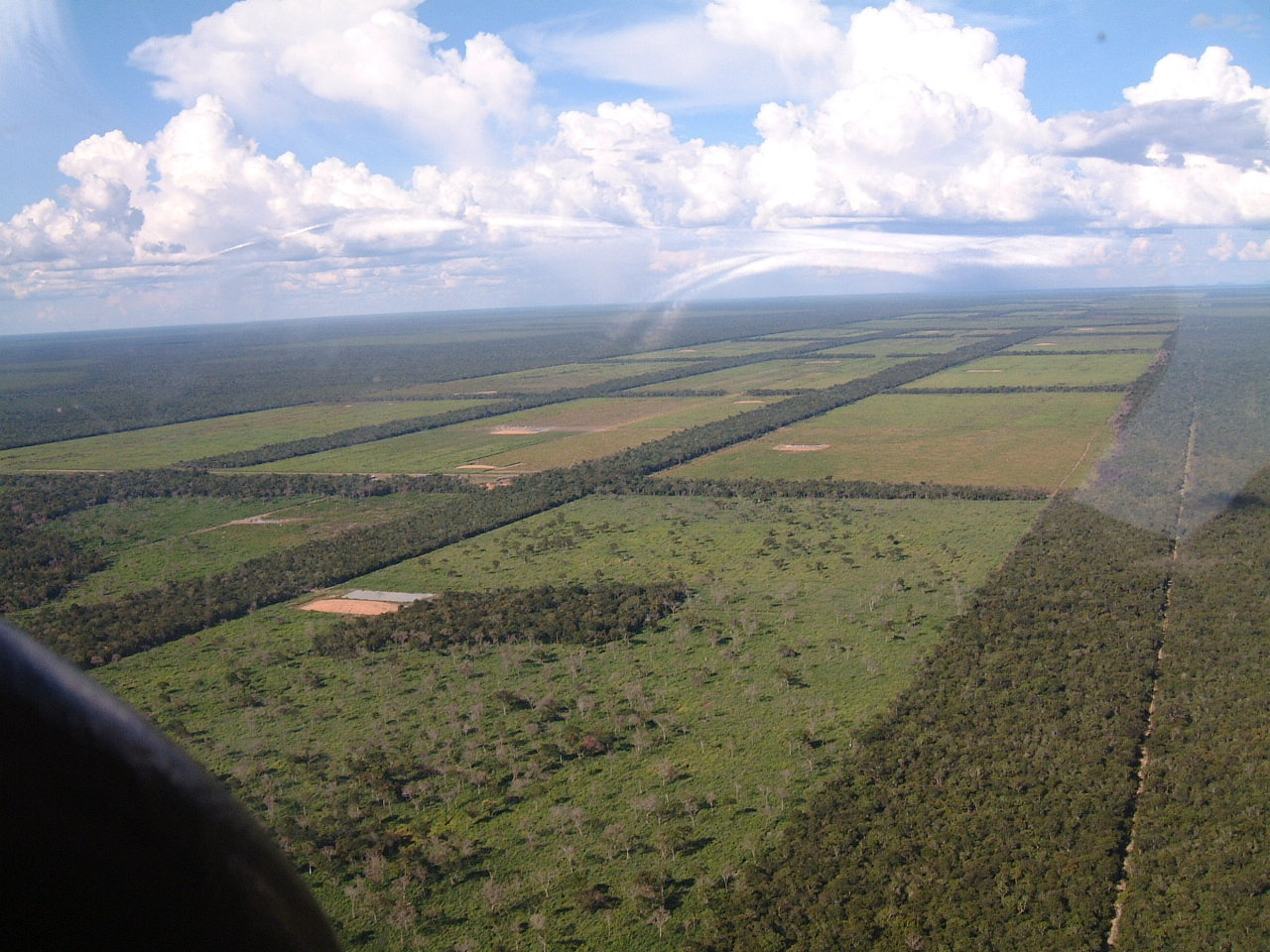 The Future Landscape (Image Credits: Wikimedia)
