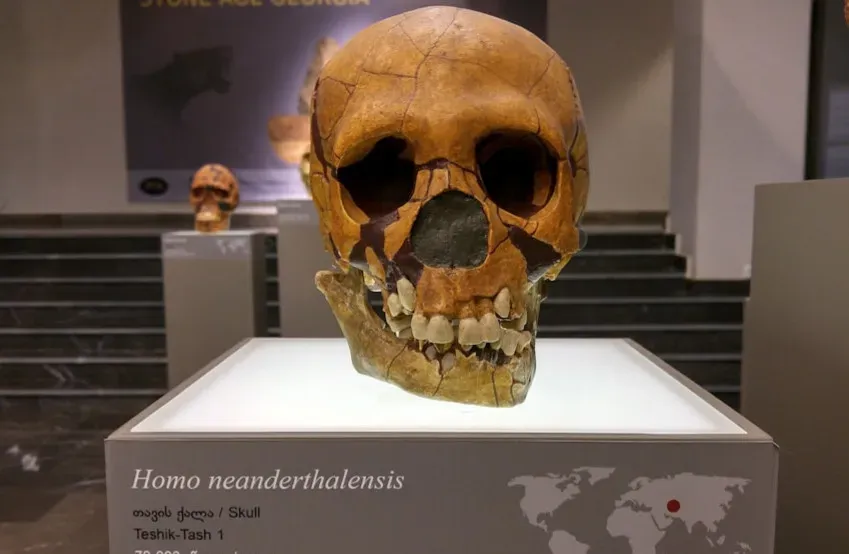 The Cave That Keeps Giving Up Secrets (Image Credits: Unsplash)