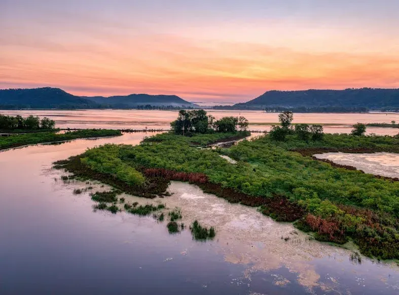 The Journey Through Rivers, Wetlands, and Lakes (Image Credits: Pexels)
