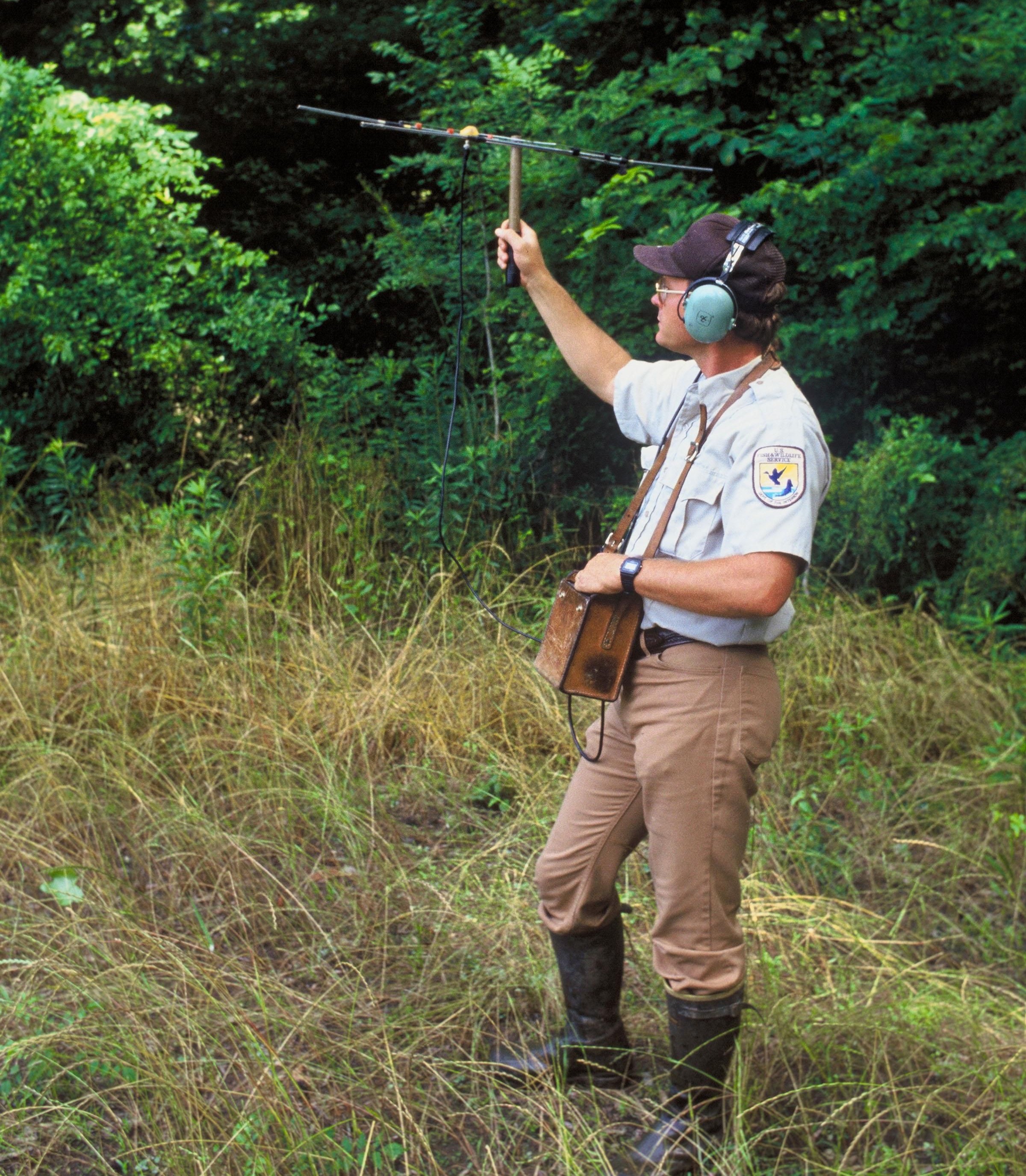 The Future Landscape (Image Credits: Wikimedia)