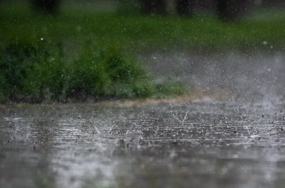 #15 – Continental Air Pollution and Acid Rain: “Too Diluted to Matter” (Image Credits: Pexels)
