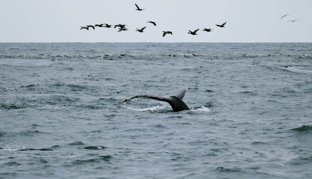 Conclusion (Image Credits: Unsplash)