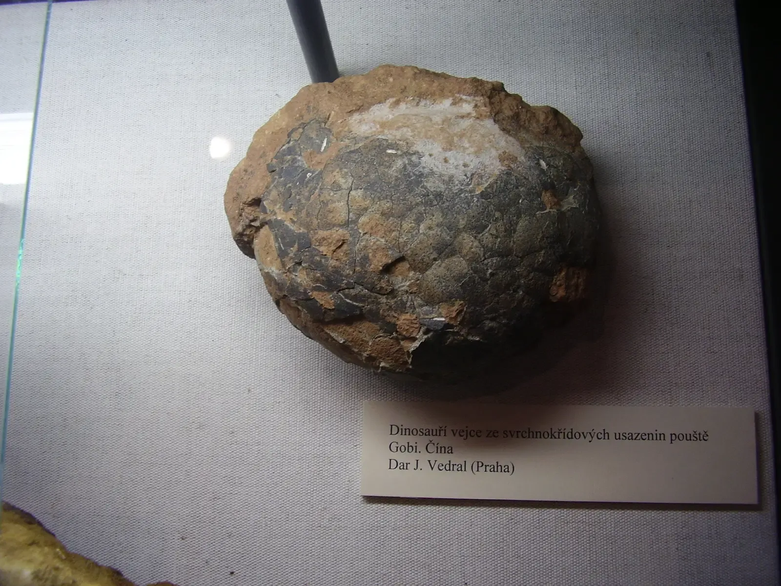 9. The Gobi Desert Egg Fields: Sandstorms, Mislabels, and New Stories (By Meridas (Vladimír Socha), CC BY-SA 4.0)