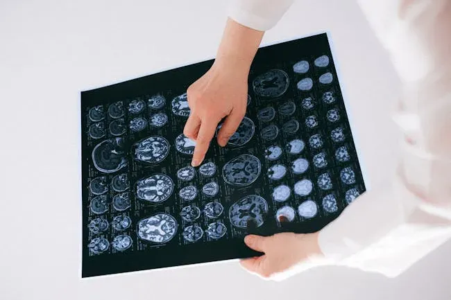 How EMF Theories Challenge Traditional Neuroscience (Image Credits: Pexels)