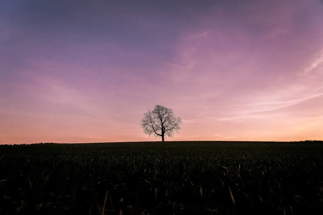 The Sky Really Is Different Colors – We Just Can’t See Most of Them (Image Credits: Unsplash)