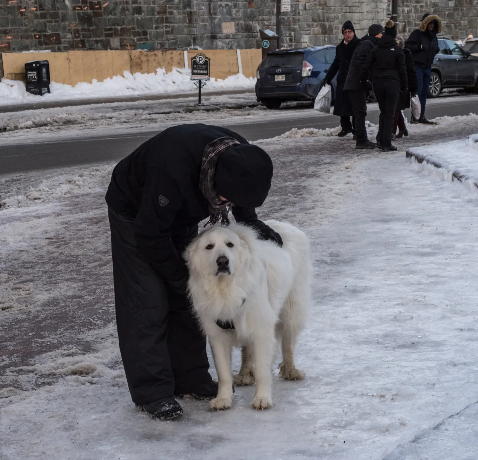 3. They tolerate weather they clearly dislike (By Wilfredor, CC BY-SA 4.0)