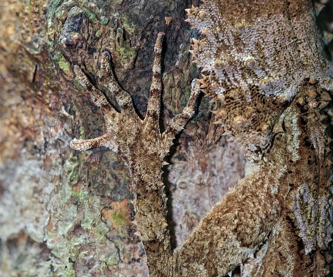 Conclusion: Seeing the Invisible (Image Credits: Unsplash)