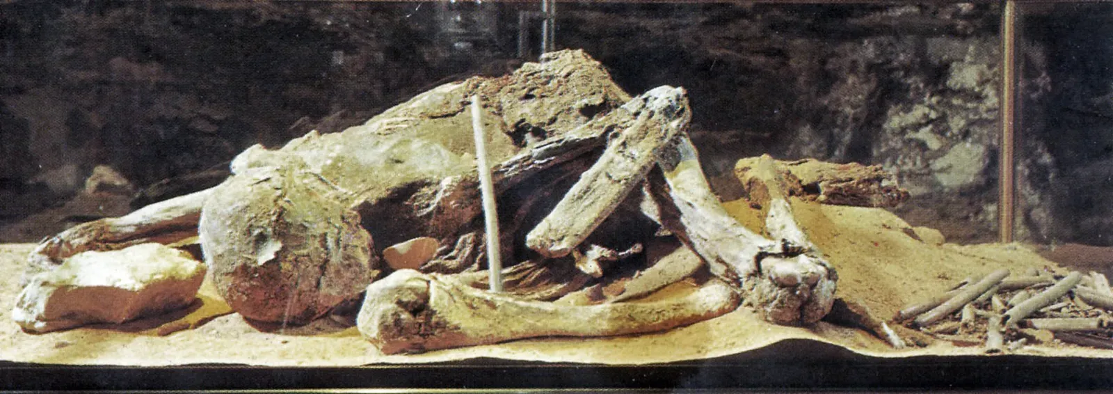 The Mummies of the Deep: Kentucky's Most Shocking Discovery (Subfossil hominid (Holocene, ~2 ka; Mummy Ledge, Main Cave, Mammoth Cave, Kentucky, USA), CC BY 2.0)